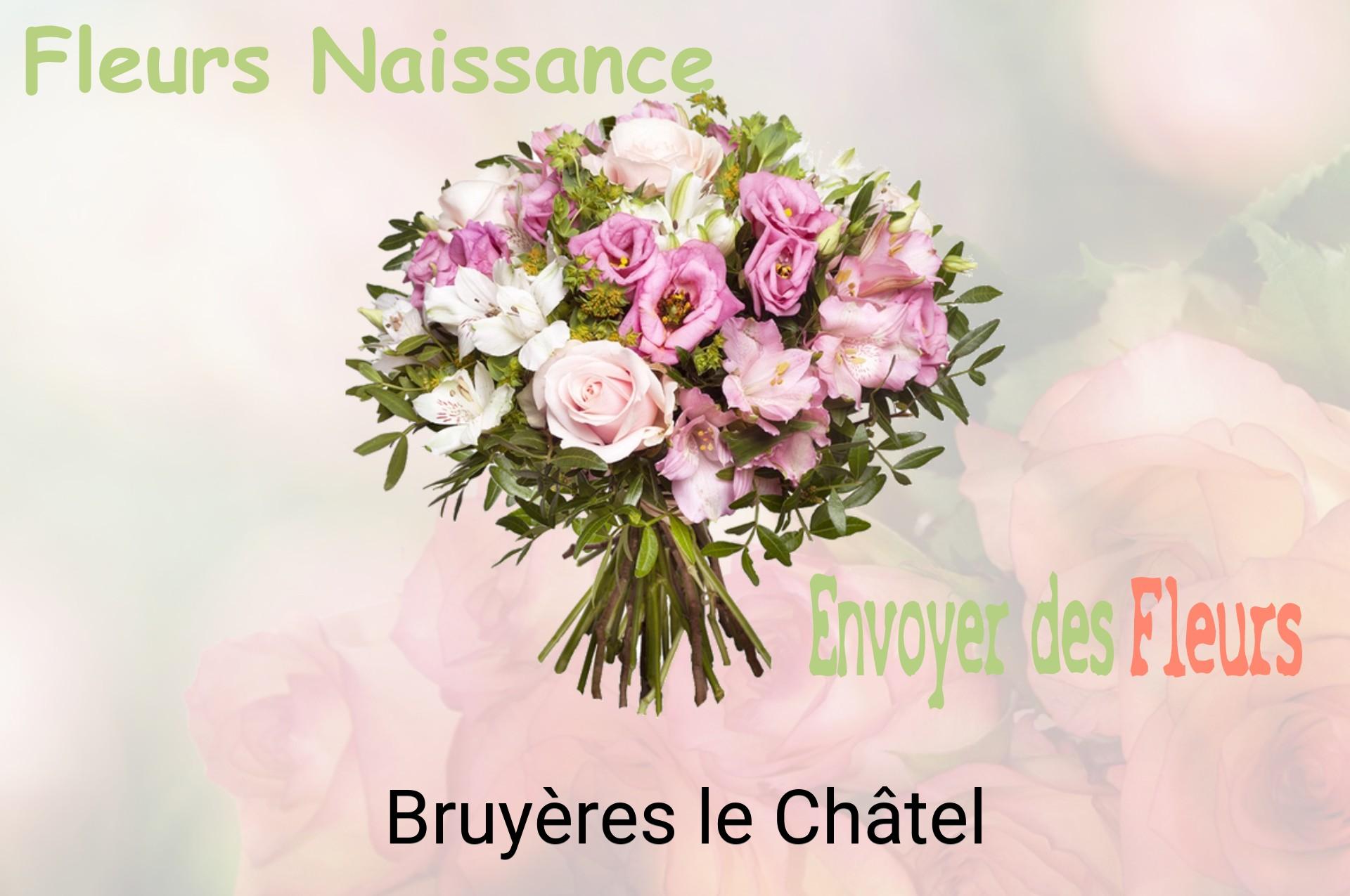 Bouquet de fleurs de naissance livré à Bruyères-le-Châtel